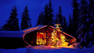 Christmas tree cabin snow night 3 - magical atmosphere free wallpaper