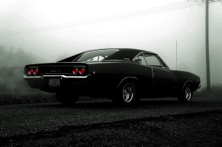 Black car foggy road night - the tail free wallpaper