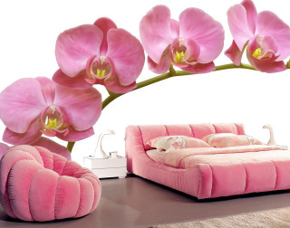 Pink bed swan flower background - vivid free wallpaper