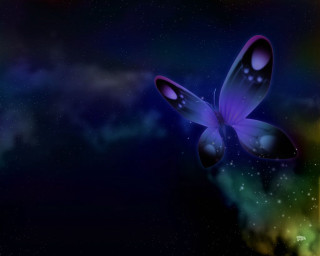 Butterfly flying sky stars blue - a butterfly free wallpaper for desktop