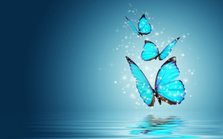 Blue butterflies water stars magic - over water free wallpaper