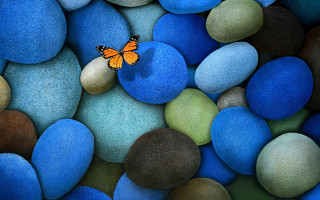 Butterfly sitting rock blue green - rock and pebbles free wallpaper