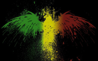 Colorful bird black yellow green - a colorful bird free wallpaper