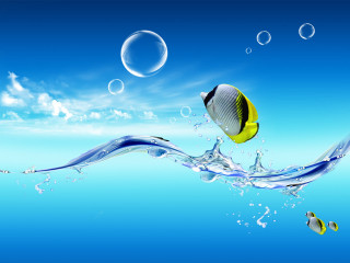Fish swimming ocean bubbles underwater 2 - airbrush free wallpaper