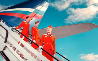 Three air hostess plane stairs - free bird wallpaper