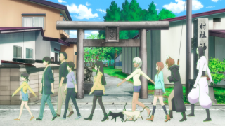 People walking street dog cat - a dog and a cat free wallpaper