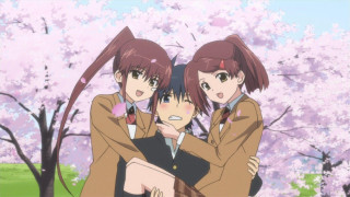 Girls uniform tree pink flowers - uniform free wallpaper