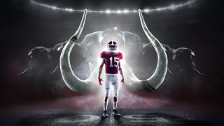 Man football uniform bull horns - horn free wallpaper for desktop