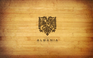 Wooden lion albania regionalism ultrafine - a wooden background free wallpaper