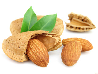 Almonds pile leaf white background - a green leaf free wallpaper