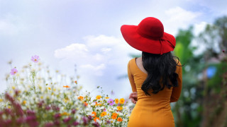 Yellow dress red hat flower - a yellow dress free wallpaper for desktop