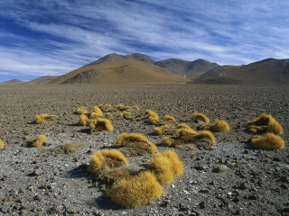 Desert grass mountains blue sky - a desert free wallpaper