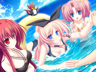 Anime girls water cat bird - and a bird free wallpaper