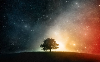 Lone tree hill night sky 4 - the horizon free wallpaper