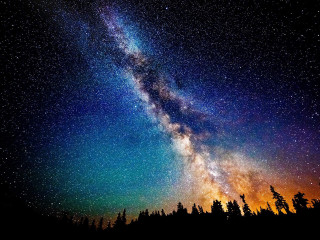 Night sky bright star tree 2 - a few star free wallpaper