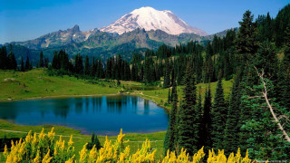 Mountain lake trees foreground nature - a lake in the foreground and trees free wallpaper