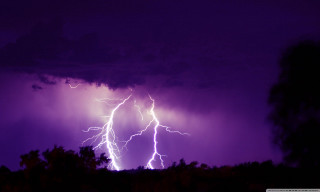 Purple sky lightning bolt trees - thunderstorm free wallpaper