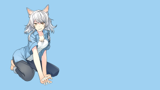 Anime white hair cat ears - white background free wallpaper