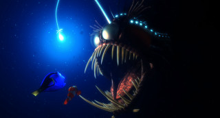 Fish light flashlight head mouth - in the dark free wallpaper