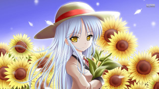 Girl white hair hat sunflowers - a field of sunflowers free wallpaper