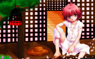 Girl sitting ledged building birdcage - the roof free wallpaper