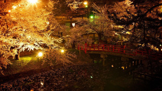 Bridge pond night lights trees - eishōsai chōki free wallpaper