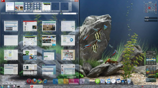 Desktop screen fish plant holography - the screen free wallpaper