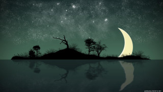 Night scene half moon trees - nighttime free wallpaper