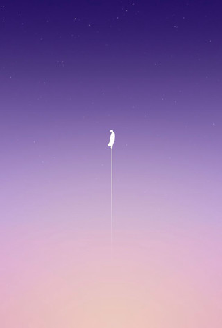 Bird flying purple pink background - star above free wallpaper
