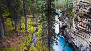 River forest trees rocks hillside - a cliff face free wallpaper for desktop