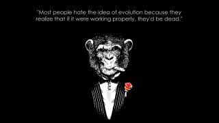 Monkey tuxedo rose lapel quote - an illustration free wallpaper