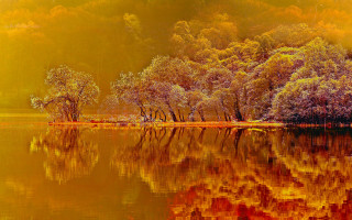 Lake trees yellow sky background - a yellow sky in the background free wallpaper