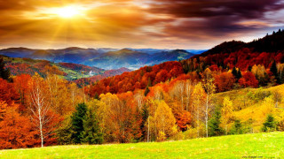Mountain range trees sunset sunbeam - the foreground and a sunset in the background free wallpaper