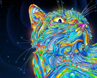 Colorful cat blue background stars - the sky behind free wallpaper