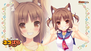Girl cat ears cat tail - a cat ear free wallpaper for desktop