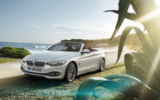 White car ocean pine tree - ahmed yacoubi free wallpaper