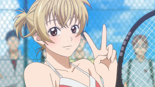 Tennis woman fence anime blush - a tennis ball free wallpaper for desktop