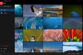 Birds flowers collage nature colorful - a collage free wallpaper for desktop