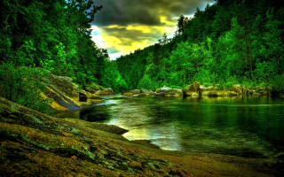 River forest moss rocks cloudy - a dark cloud free wallpaper for desktop