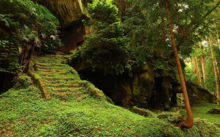 Lush green forest staircase cave 2 - floor free wallpaper for desktop