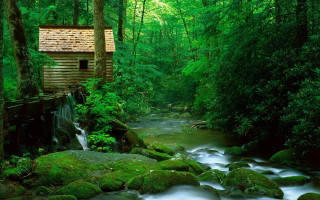 Cabin woods stream waterfall rocks - a small cabin free wallpaper