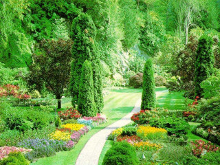 Garden path flowers trees bench - lot of flowers free wallpaper