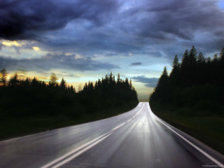 Long road trees cloudy sky - cloudy free wallpaper