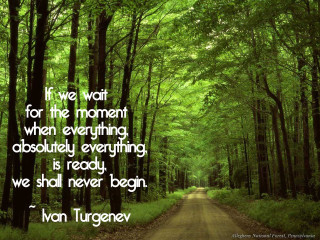 Road forest quote moment wait - everything free wallpaper