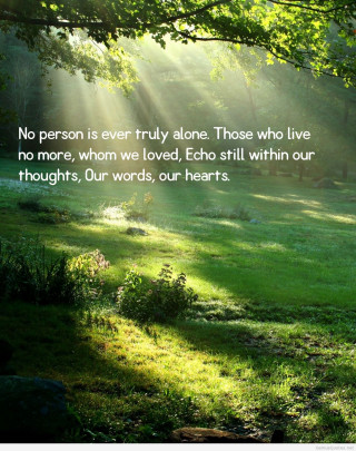 Sunny day woods quote light - elaine duillo free wallpaper for mobile