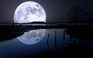 Full moon water tree dark - caspar wolf free wallpaper