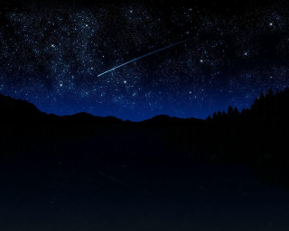 Night sky shooting star forest 3 - shooting free wallpaper