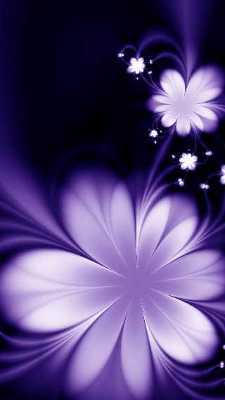 Purple flower white petals black - carlos trillo name free wallpaper for mobile
