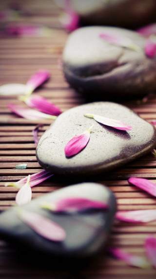 Rocks pink petals bamboo mat - pink petal free wallpaper for mobile