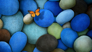 Butterfly sitting rock blue green 5 - rock and pebbles free wallpaper